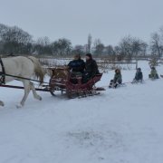 Kulig